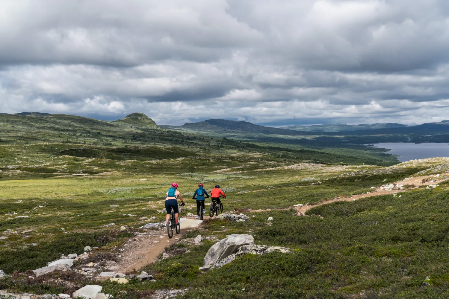MTB-cykling i en cykelled på fjället