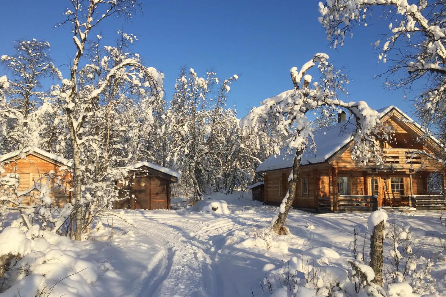 Fjällstuga i snölandskap