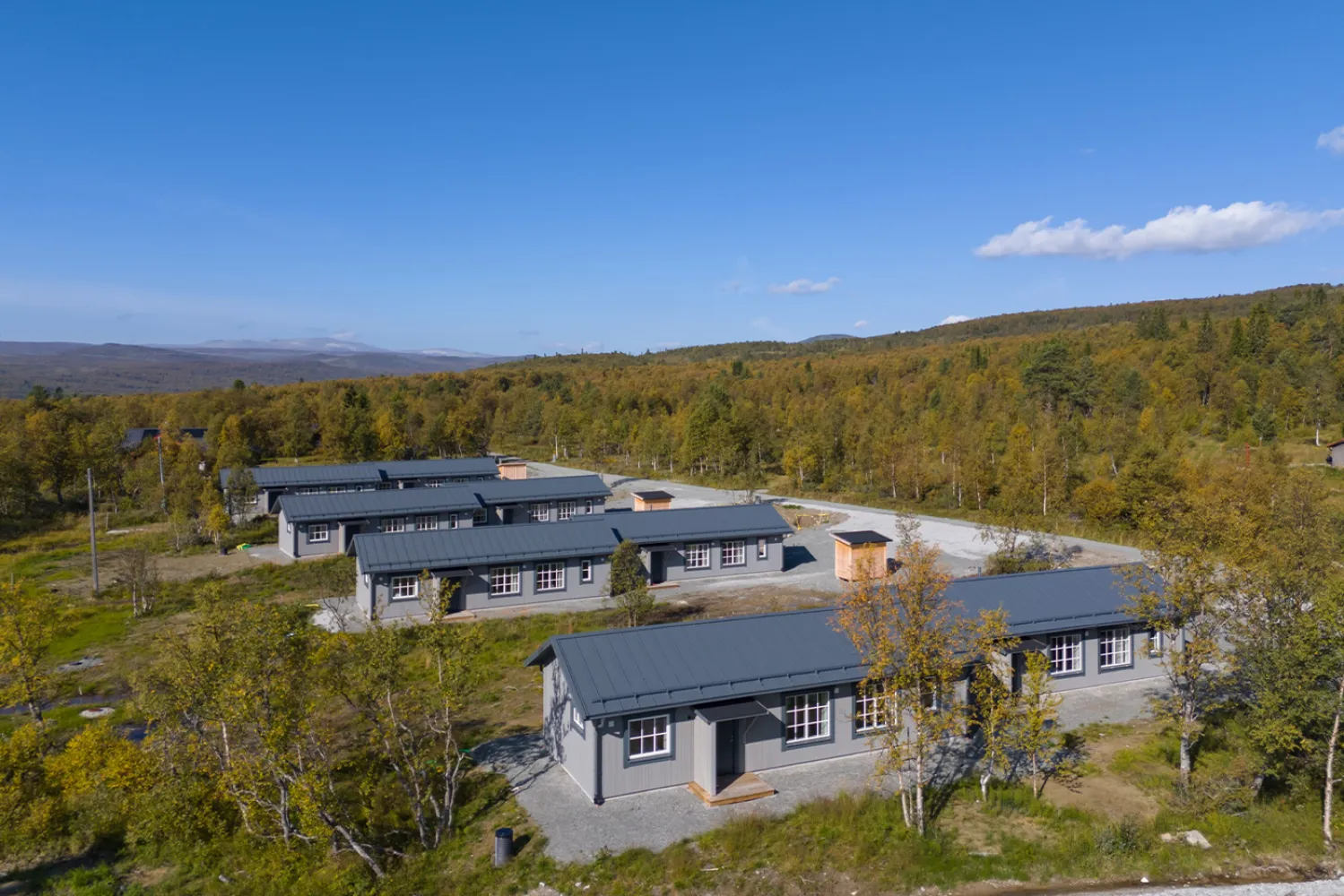 En grupp hus på ett fält