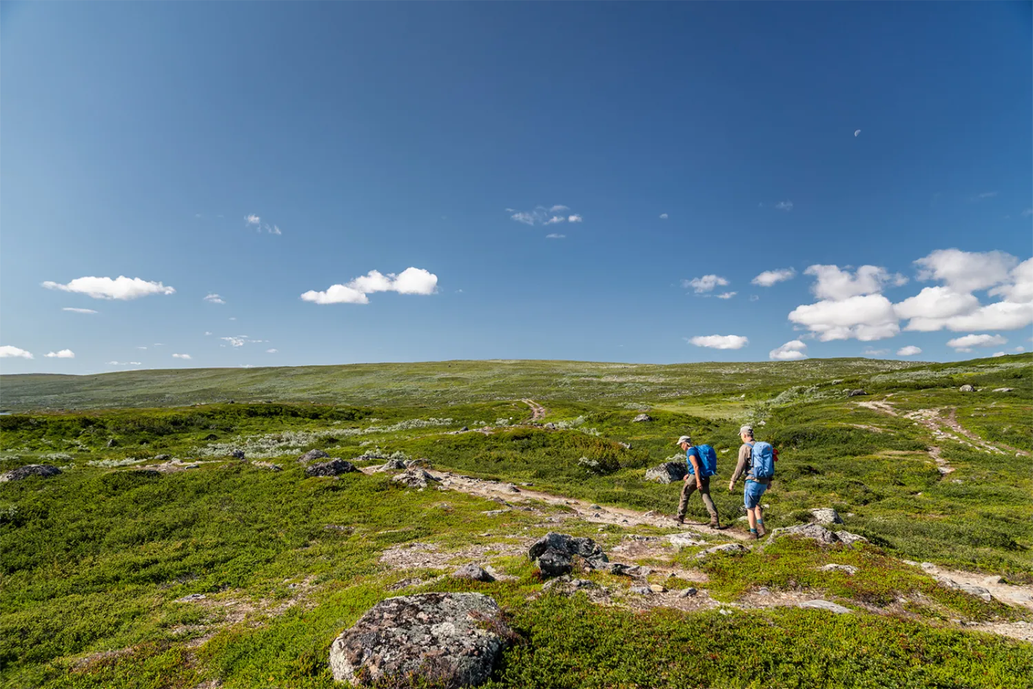 Fjällvandring Funäs
