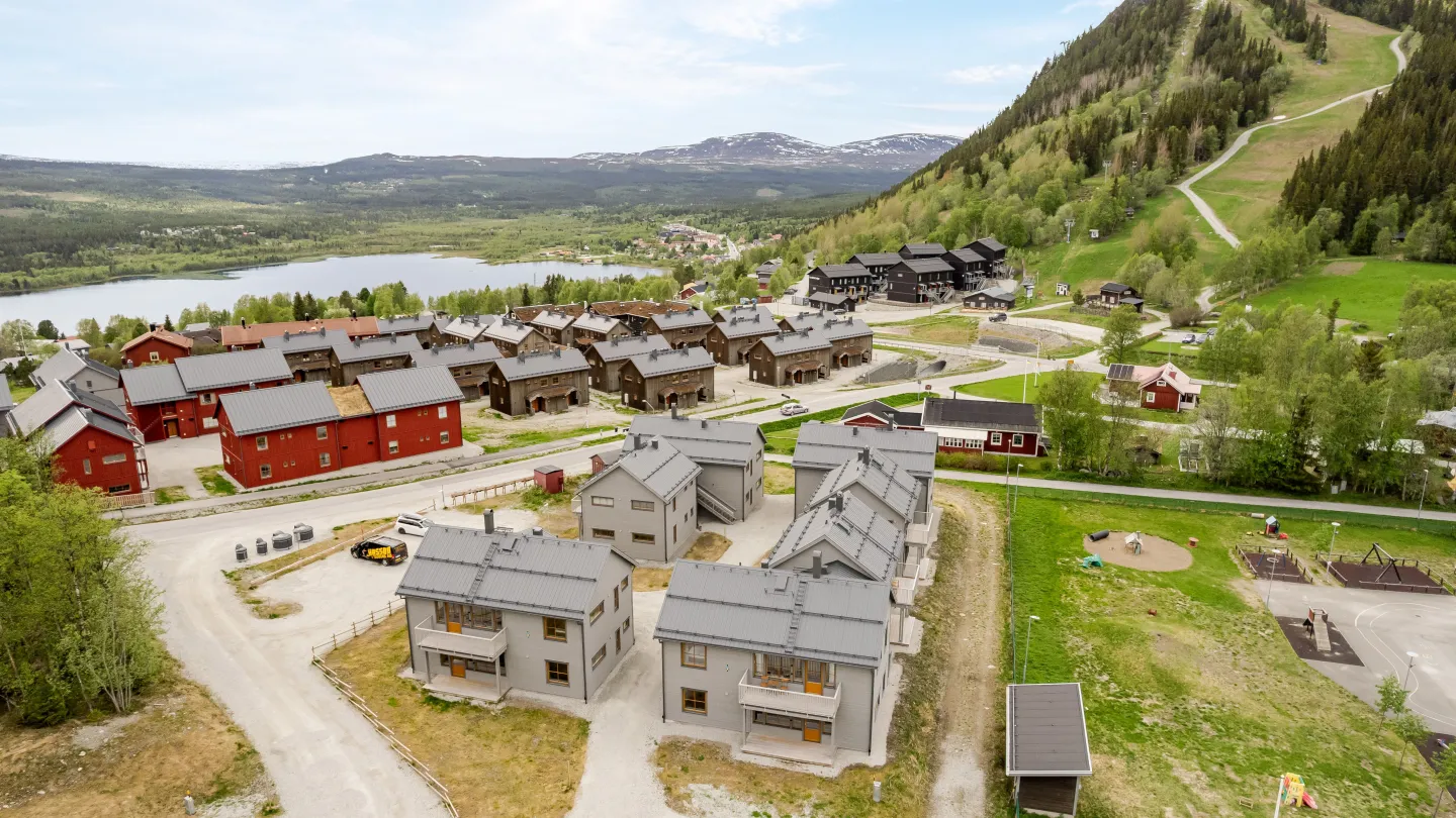 FDH Exteriör Grönt