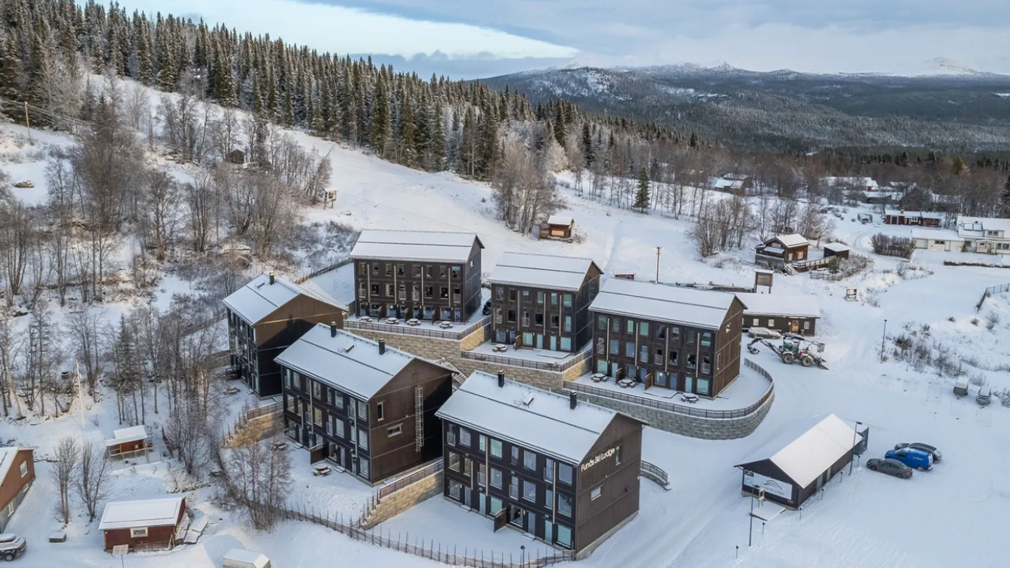 En grupp hus i snön