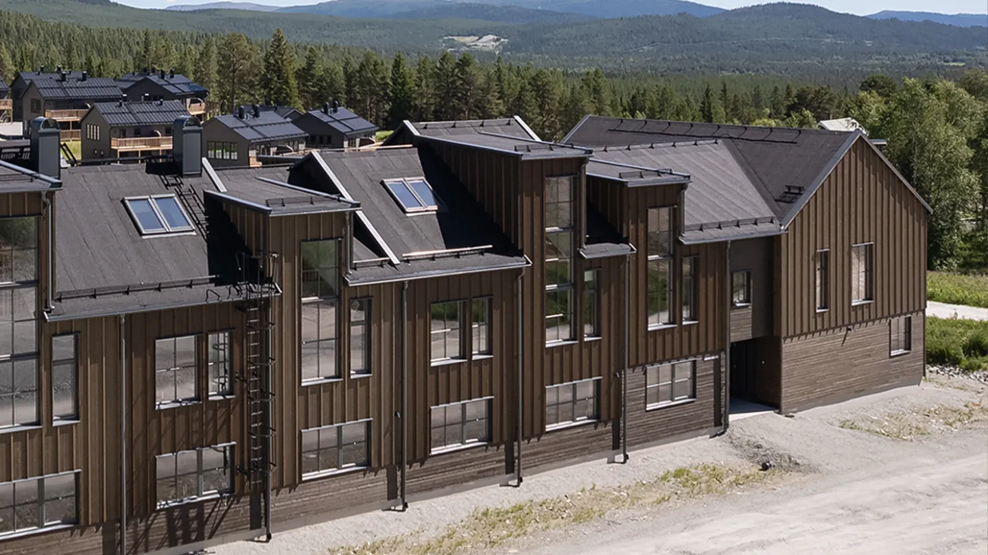 Ömsedal exteriör i fjällandskap