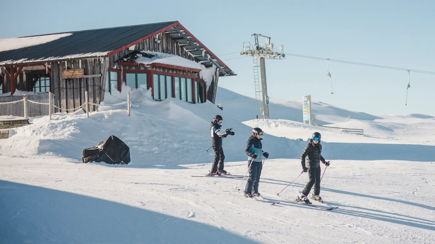 En grupp människor som åker skidor på snön